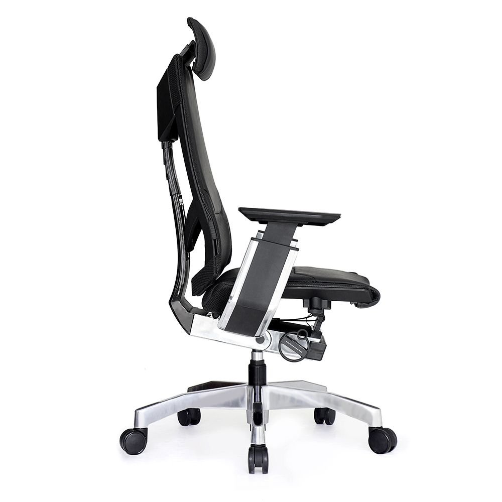 صندلی جنیدیا Genidia