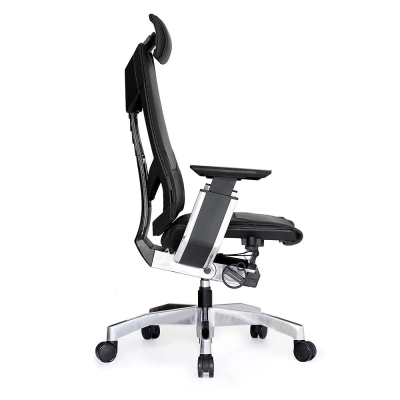 صندلی جنیدیا Genidia