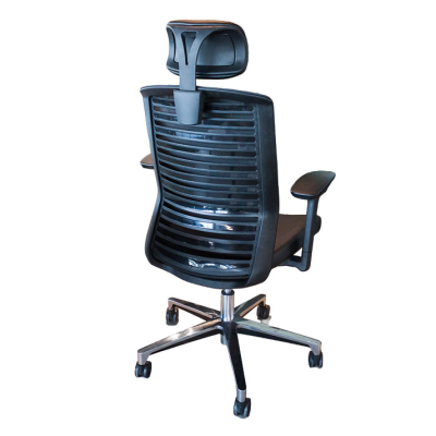 صندلی داینامیکا Dynamica Chair
