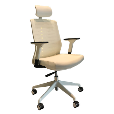 صندلی داینامیکا Dynamica Chair