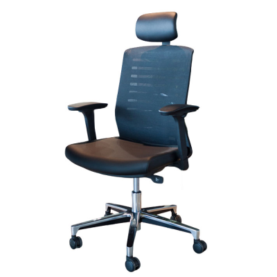 صندلی داینامیکا Dynamica Chair