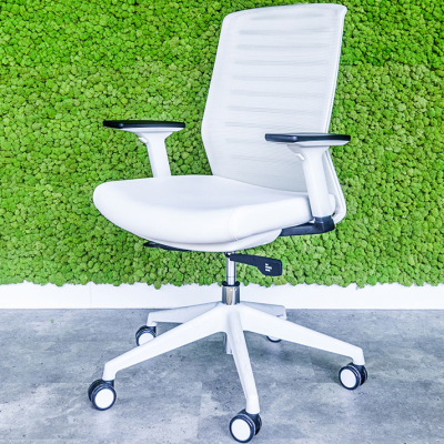 صندلی داینامیکا Dynamica Chair