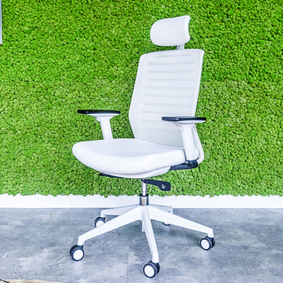 صندلی داینامیکا Dynamica Chair