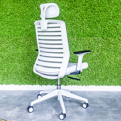 صندلی داینامیکا Dynamica Chair