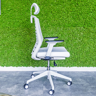 صندلی داینامیکا Dynamica Chair