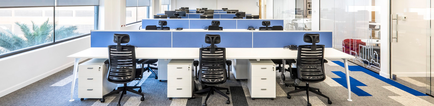 صندلی داینامیکا Dynamica Chair