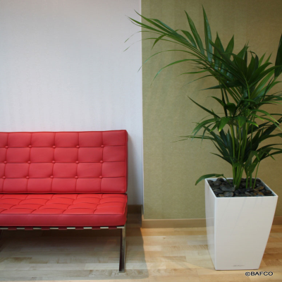 Barcelona Sofa