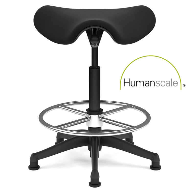 صدل - Saddle 