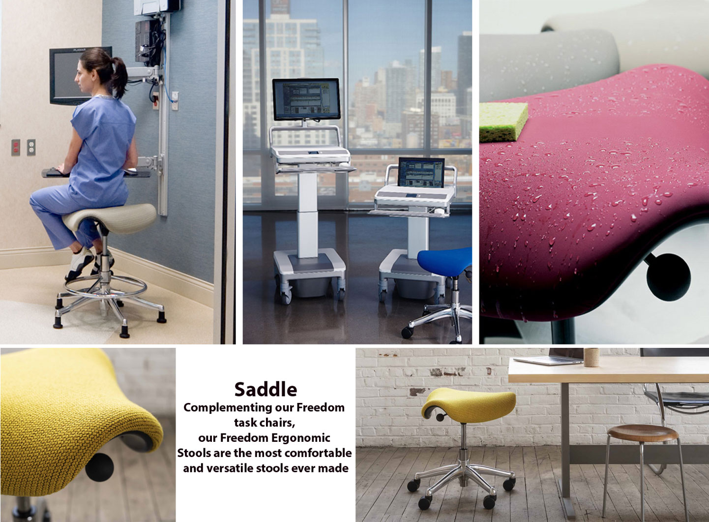 صدل - Saddle 